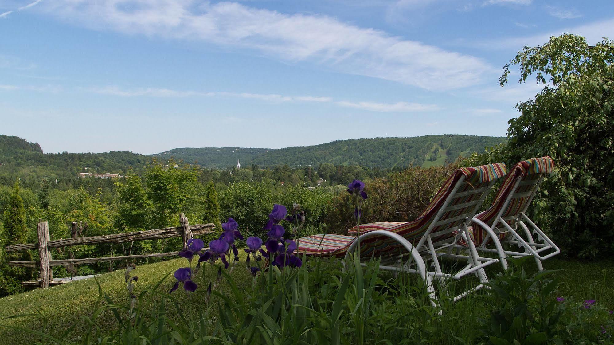 Le Petit Clocher Gite Touristique B & B Saint-Sauveur Ngoại thất bức ảnh